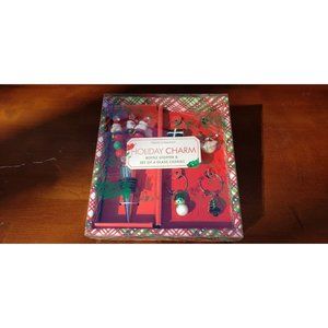 Holiday Christmas Wine Bottle Stopper/Cork and Four Wine Glass Charms Santa